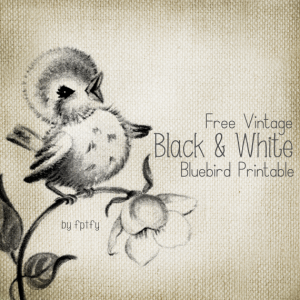 Free b&w bluebird image on Free Pretty Things For You